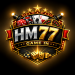 HM77 GAME